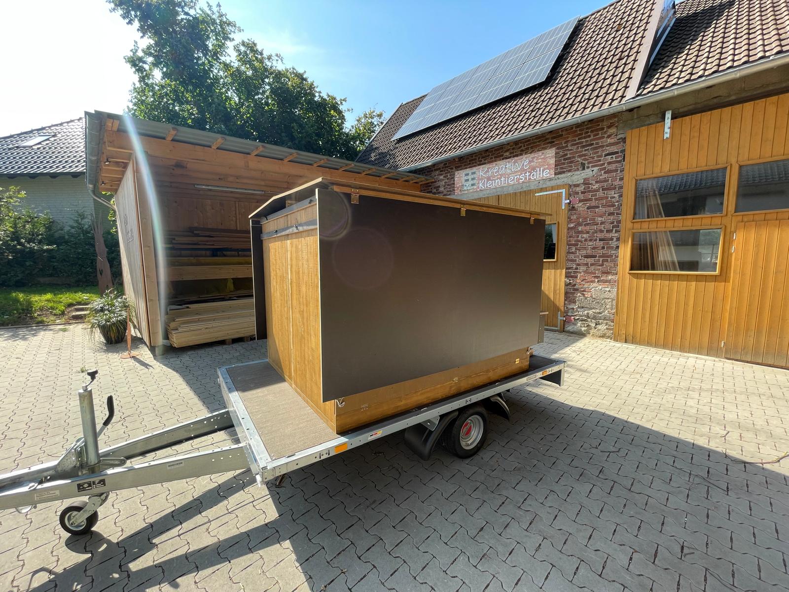 WhatsApp Image 2025-11-08 at 07.21.01 (3)